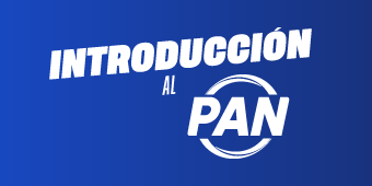 Introducción al Partido